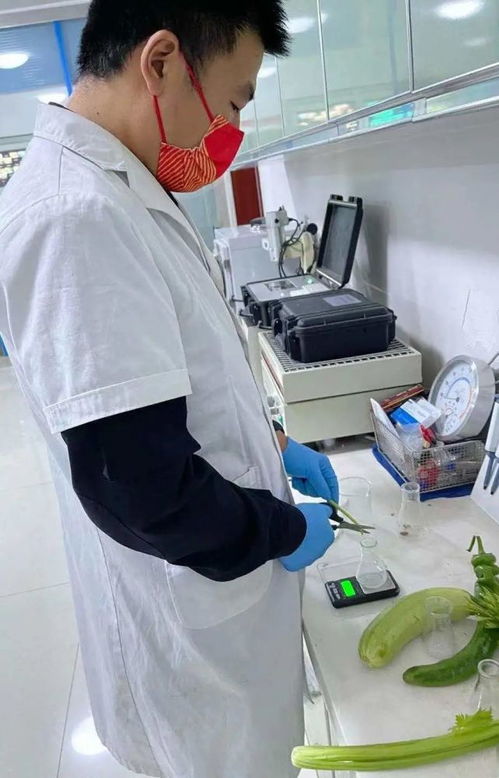 聚焦食品安全 今日38批次食用農產品抽檢結果解讀與消費者指南