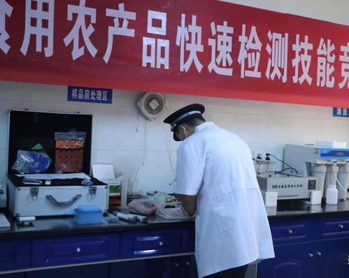 區(qū)市場局舉辦食用農產品快速檢測技能競賽 以賽促練提升檢驗實戰(zhàn)能力