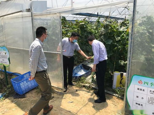 我市大力推進試行食用農產品合格證制度，筑牢食品安全防線