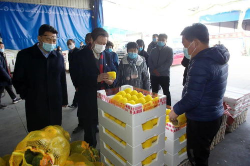 柳金鐘書記深入襄都區(qū)檢查指導食用農產品市場銷售信息追溯系統(tǒng)建設